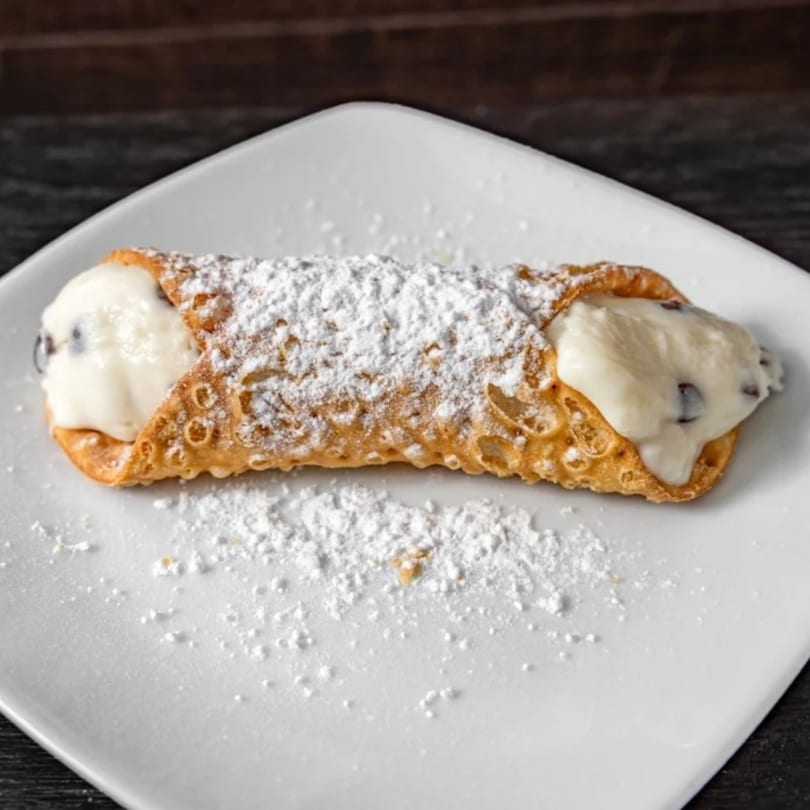 A single cannoli, filled with creamy white ricotta and chocolate chips, dusted with powdered sugar.